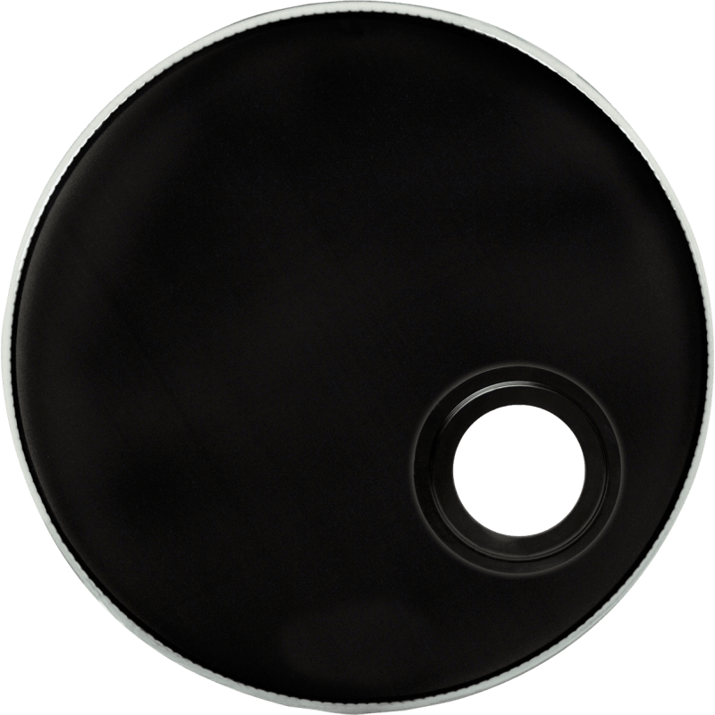 Evans Peau de Timbre Noire 20"