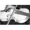 Prodipe VL21 Lanen Violon & Alto