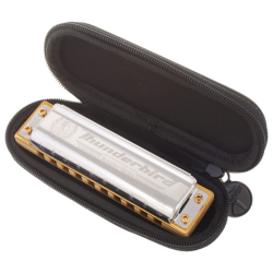 Hohner Thunderbird A Low