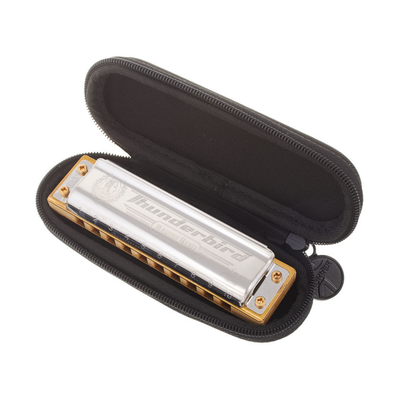 Hohner Thunderbird A Low