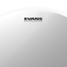 Evans B10UV2 10" Sablée
