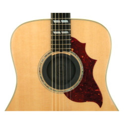D'Addario Cache anti-larsen pour caisse de résonance de guitare acoustique
