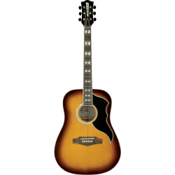 Eko RANGER Vintage Reissue VI Dreadnought Honey Burst