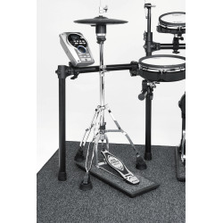Roland NE-10 Absorbeur de sons