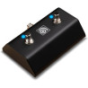 Ampeg AFS2 Footswitch
