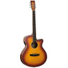 Tanglewood Winterleaf TW4E FM