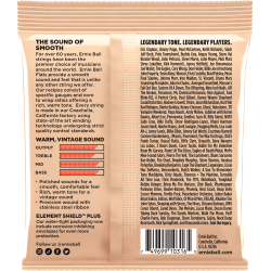 Ernie Ball Flat Medium Light 12-52