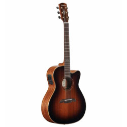 Alvarez Masterworks Folk...
