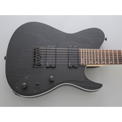 FGN Jil73 Iliad Ash 7 cordes Open Pore