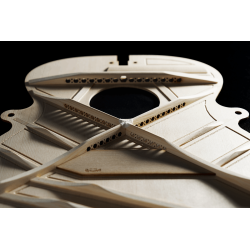 Martin Folk Inception e/a Maple