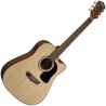 Washburn Folk e/a AD5 Dreadnought Naturel