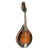 Gewa Mandoline A1 Select + Etui