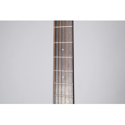 Takamine G20 Folk E/A New Yorker Satin Molasses