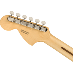 Fender American Performer Stratocaster RW Honey Burst