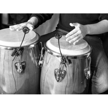 Prodipe PL21 - Kit Percussion 3x Micros