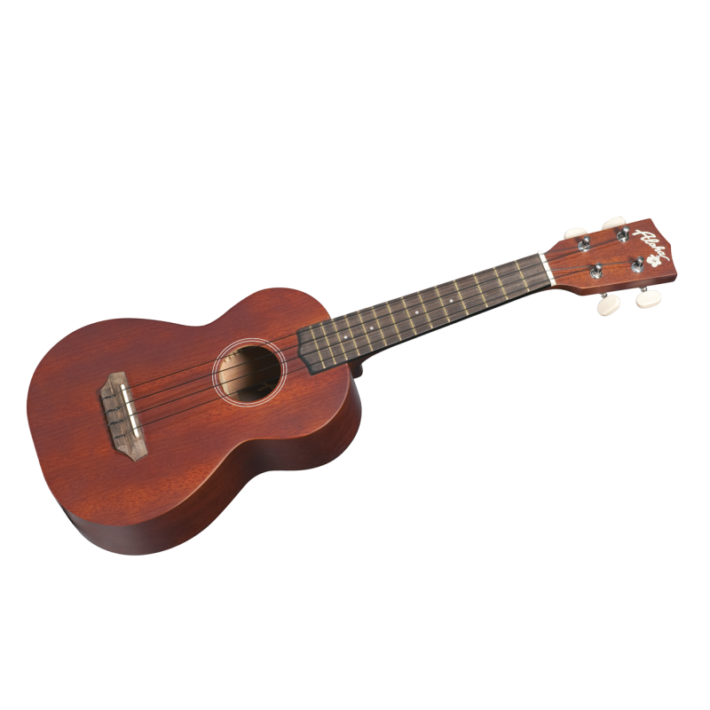 Aloha 20 Concert Naturel 