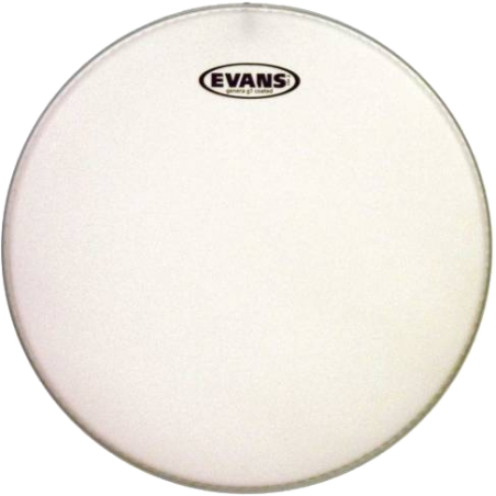 Evans Genera G1 Sablée 8"