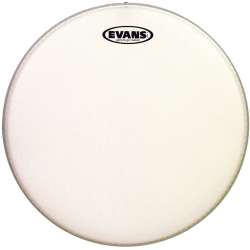 Evans Genera B16G2 Sablée 16"