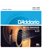 Guitare folk