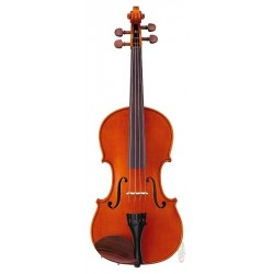Violon