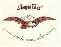 Aquila